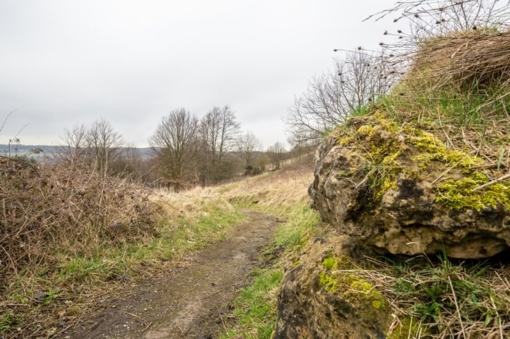 Pathway along The Crags